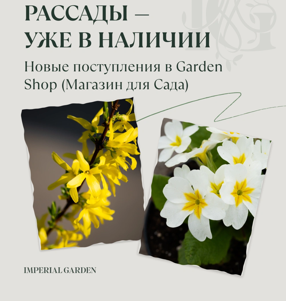 Новое поступление семян, удобрений и товаров для рассады