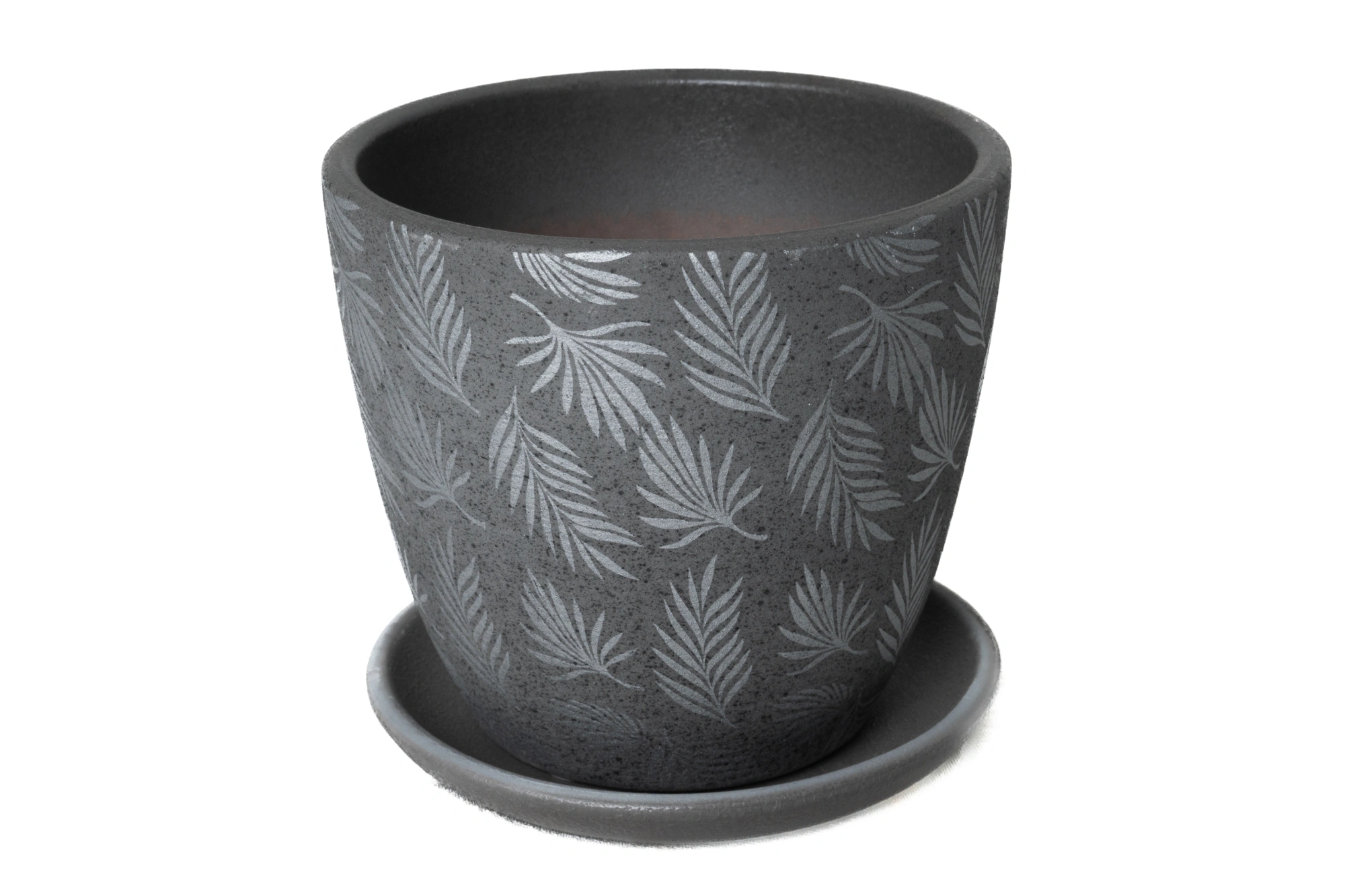 Пальма серый крокус №1,