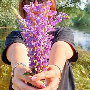 Аватар пользьзователя Ксения Нестеренко