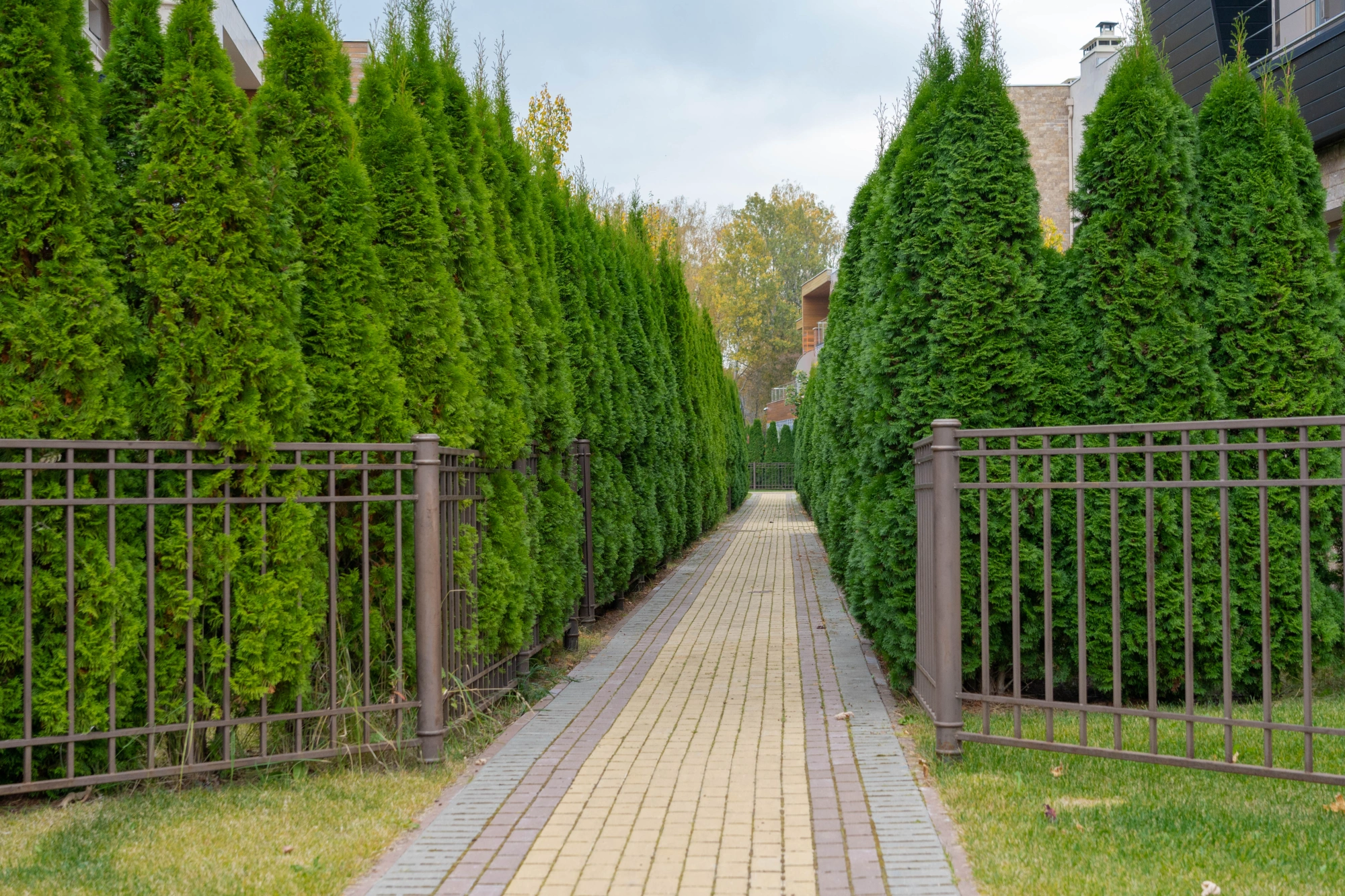 КП Парк Авеню