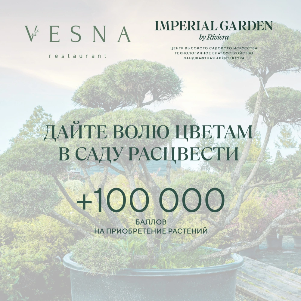 Акция от ресторана Vesna и Imperial Garden