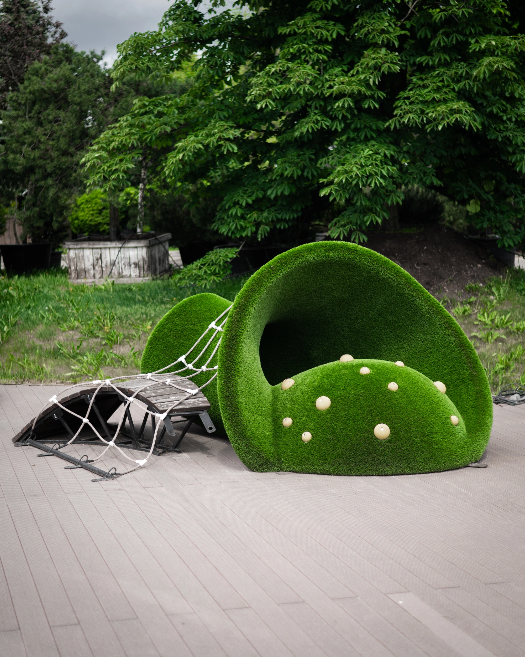 Топиари "Ракушка большая",