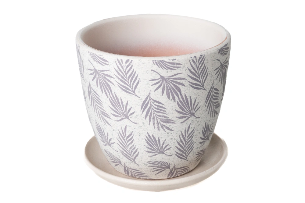 Пальма серебро крокус №1,