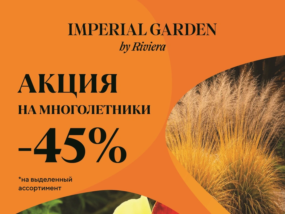 Специальное предложение на многолетники – скидка 45%!