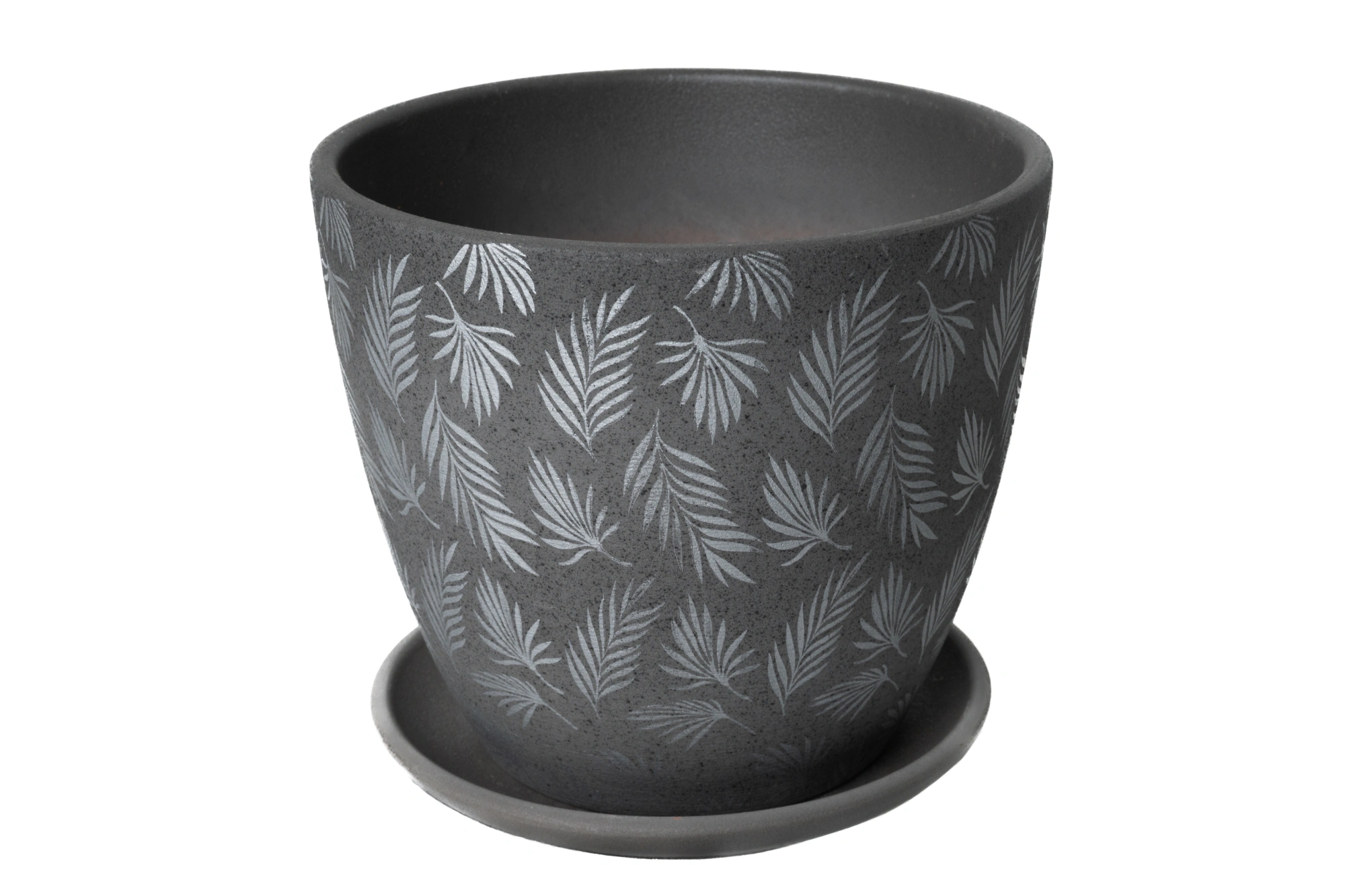 Пальма серый крокус №3,