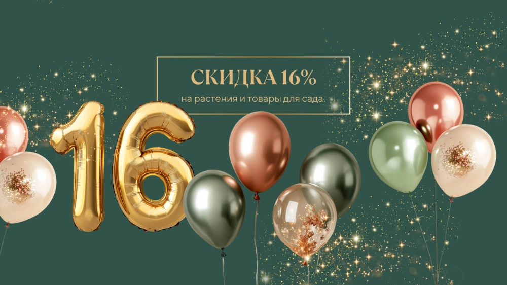 День рождения у нас, а подарки вам! 