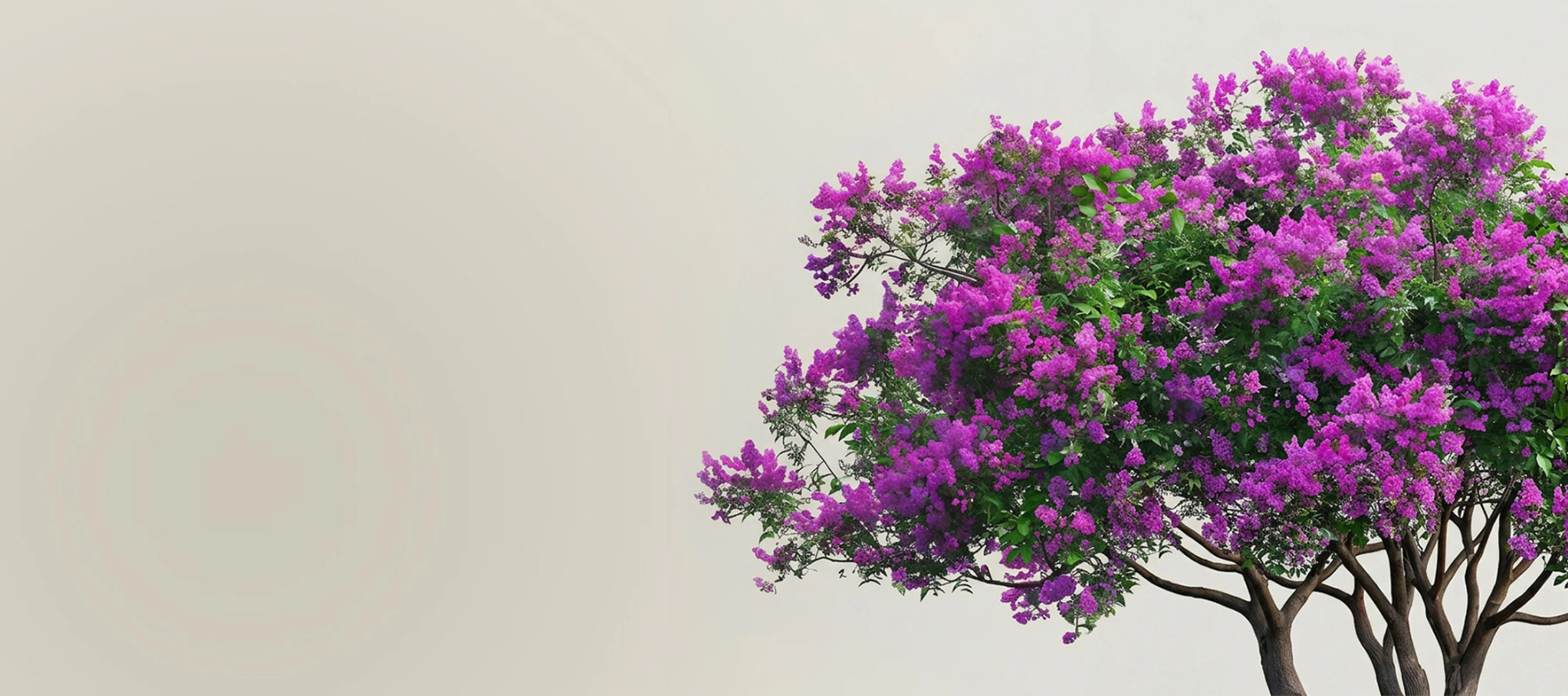 Imperial Garden открывает новый сезон