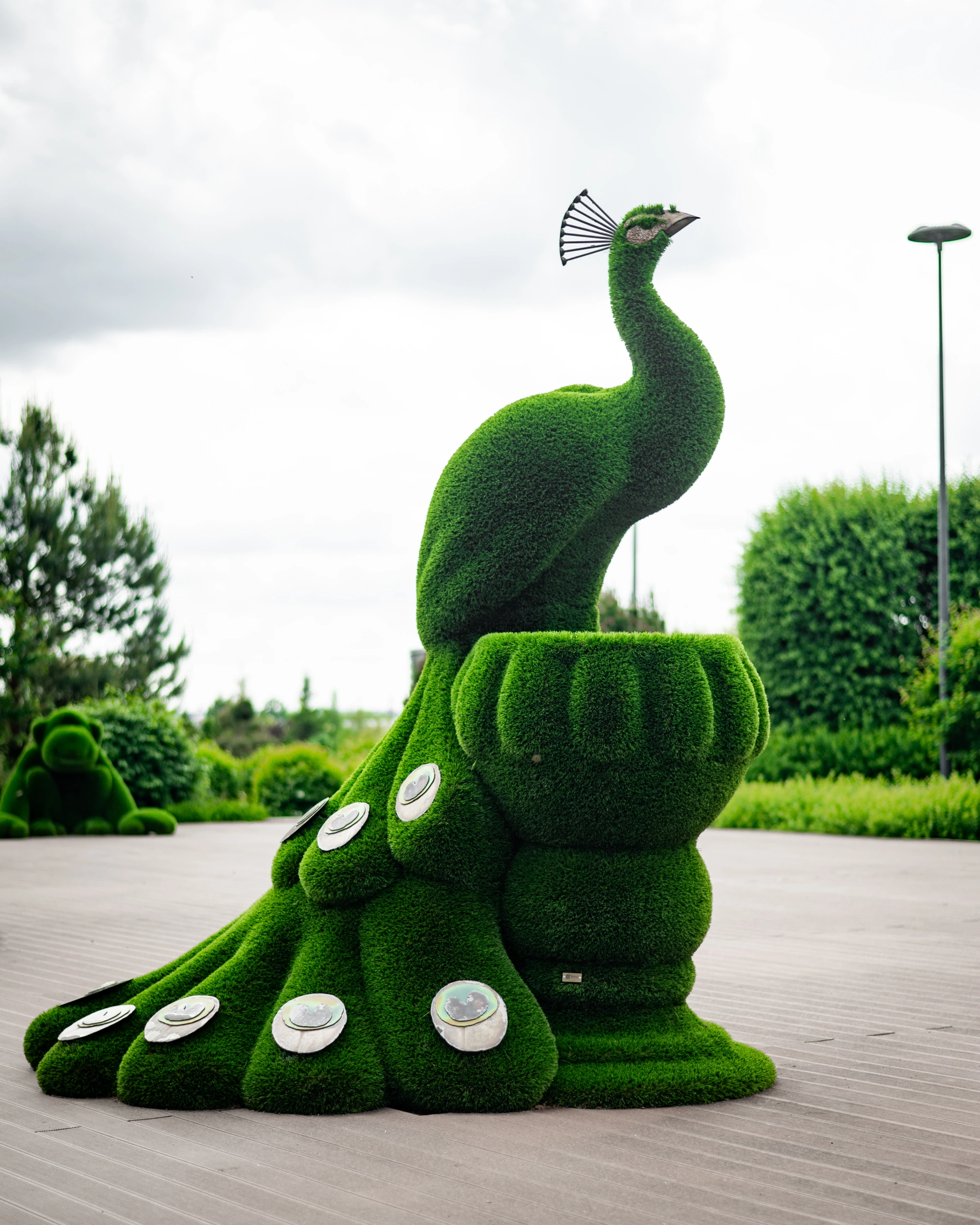 Топиари "Павлин на вазоне",