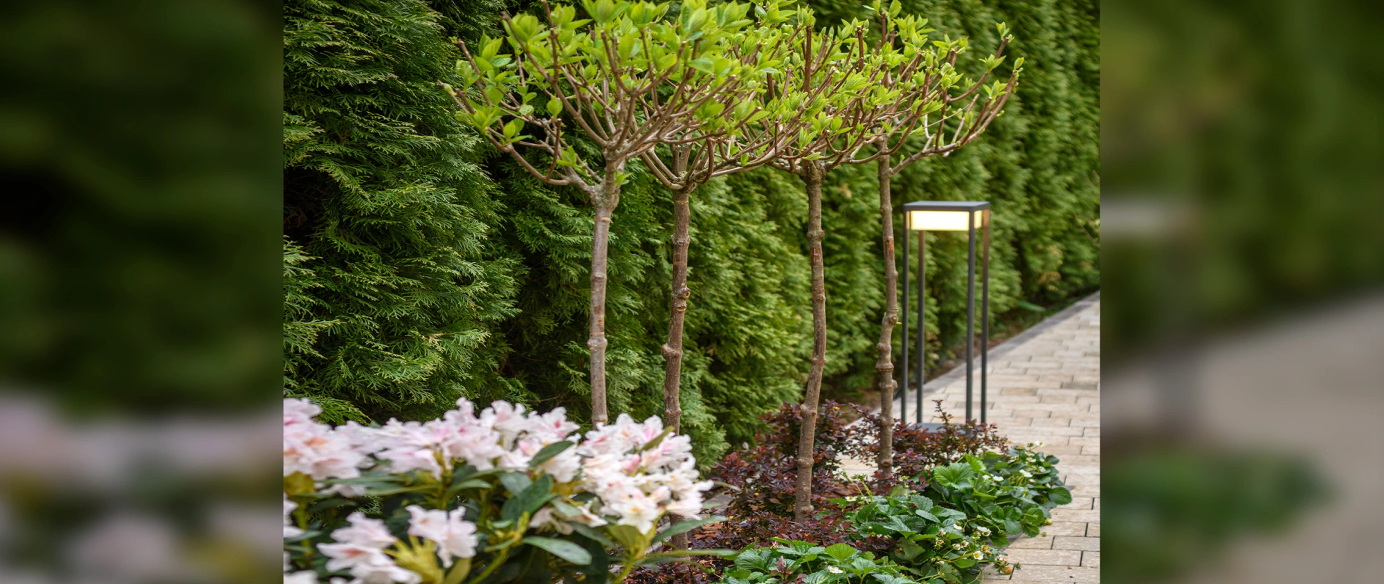 Объект в КП Парк Авеню