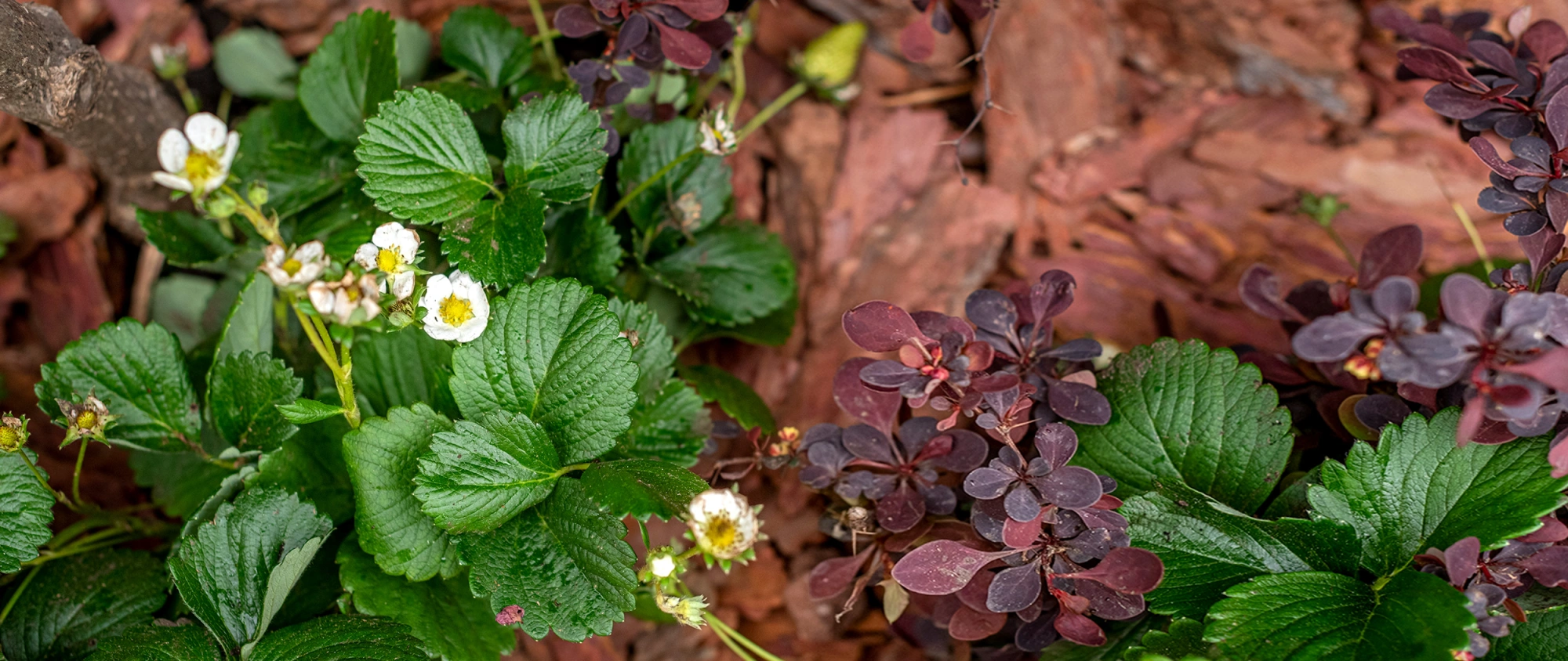Объект в КП Парк Авеню