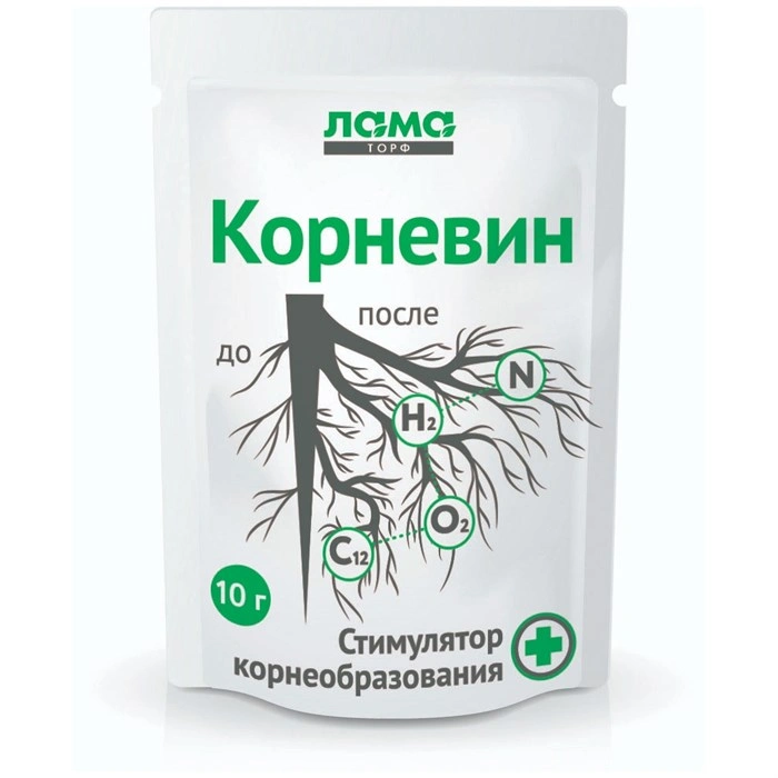 Корневин, 10г