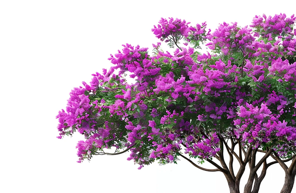 Imperial Garden открывает новый сезон! Магнолии в цвету и другие новинки ждут вас!