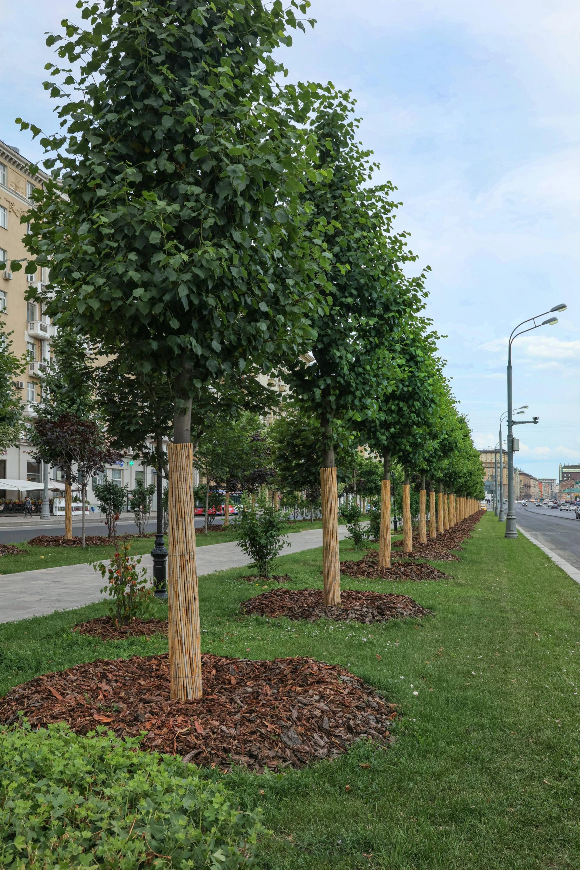 Благоустройство Москвы 2023