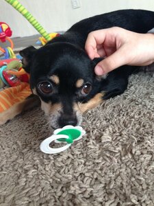 Аватар пользьзователя Artyom-air83