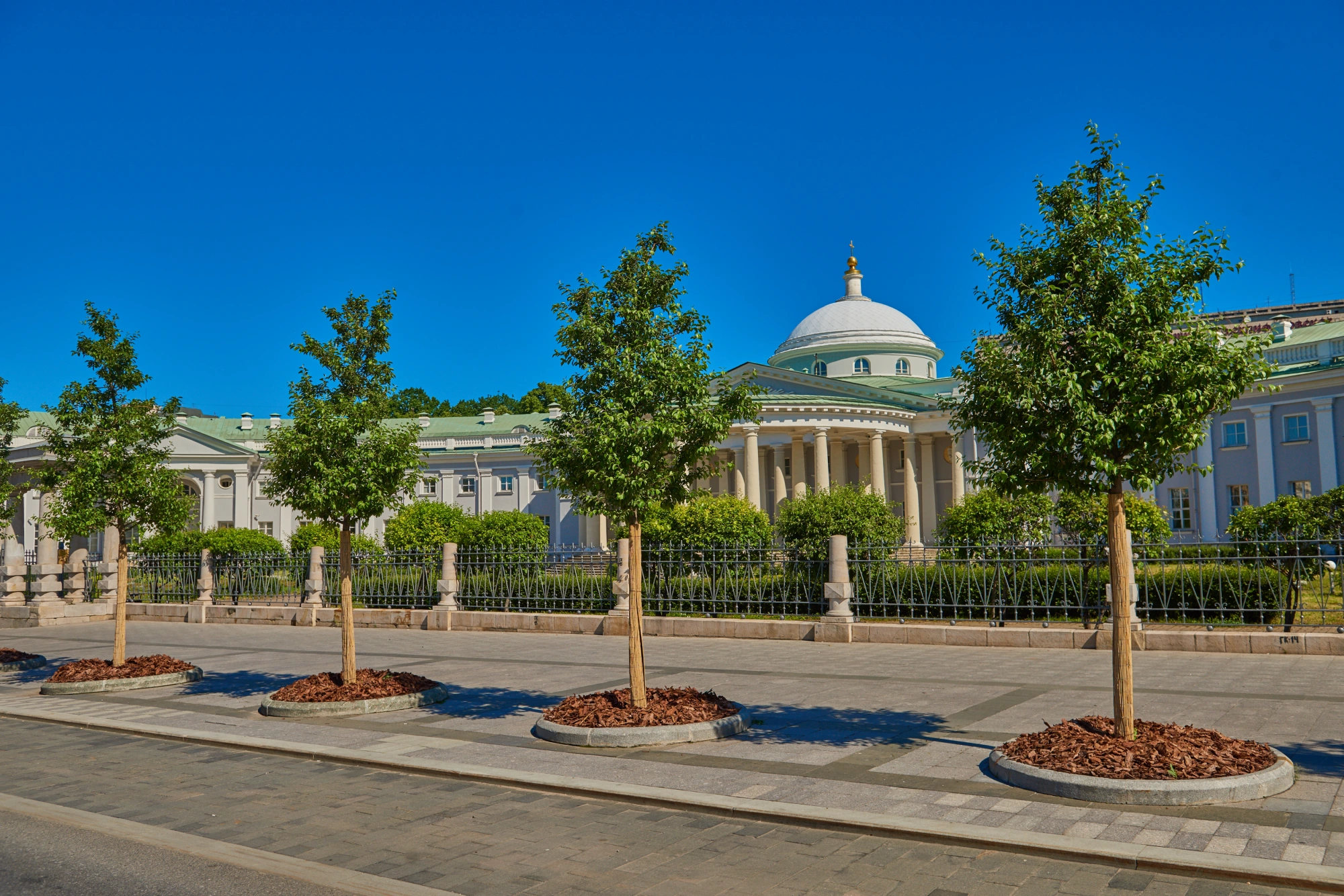 Моя улица