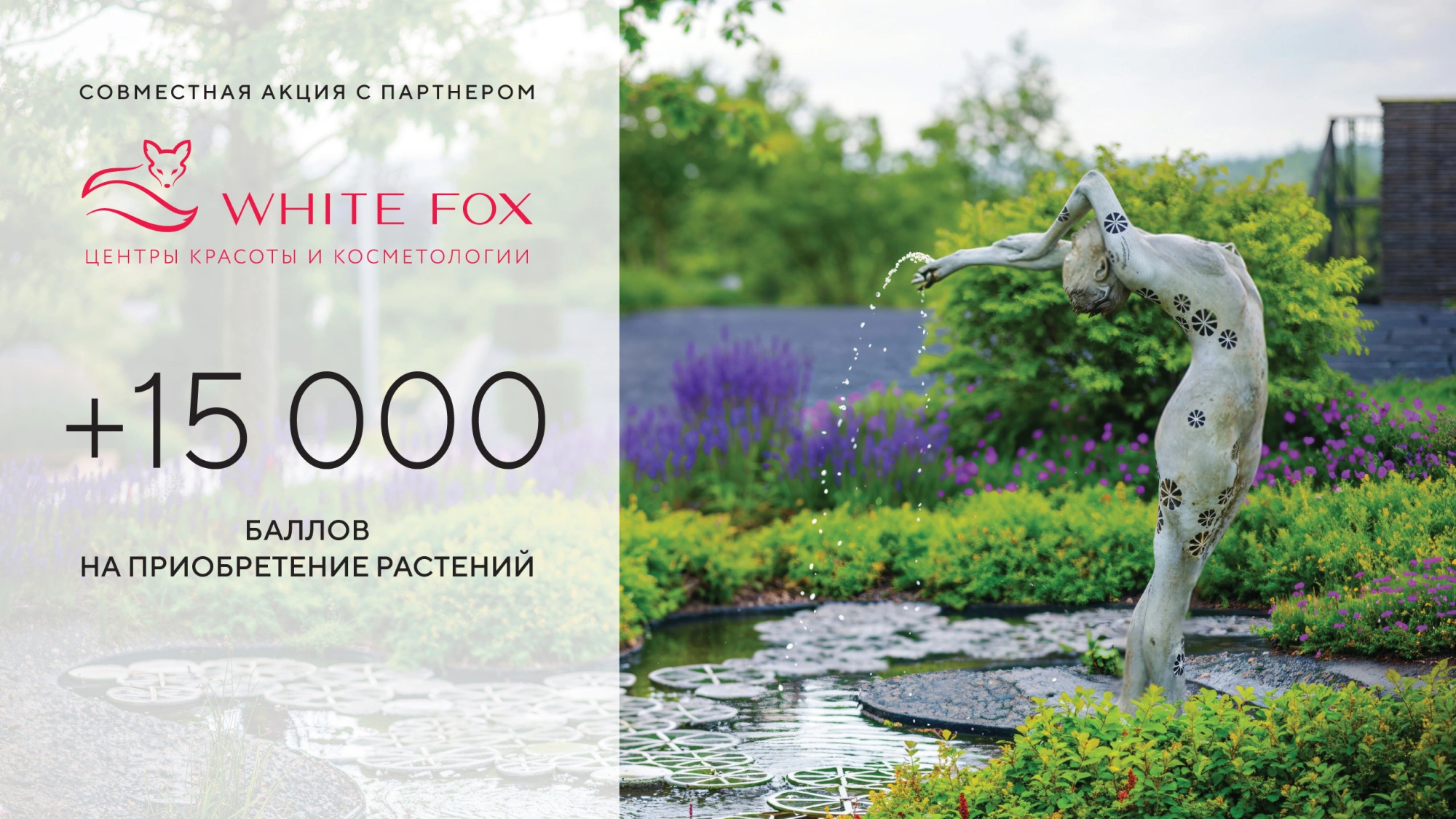 White Fox и Imperial Garden дарят подарок! 