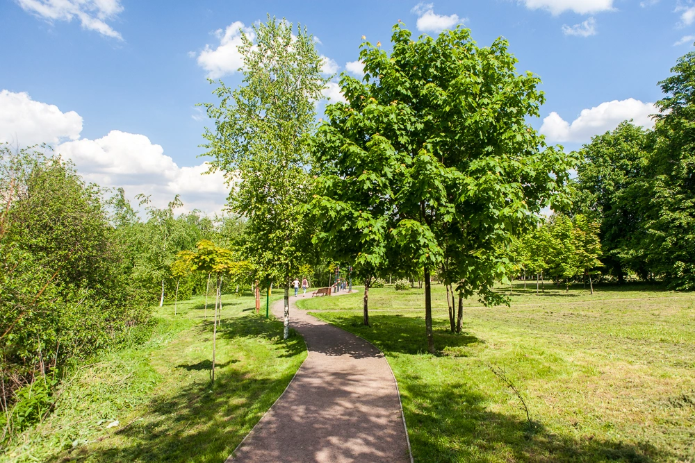 Парк Раменки