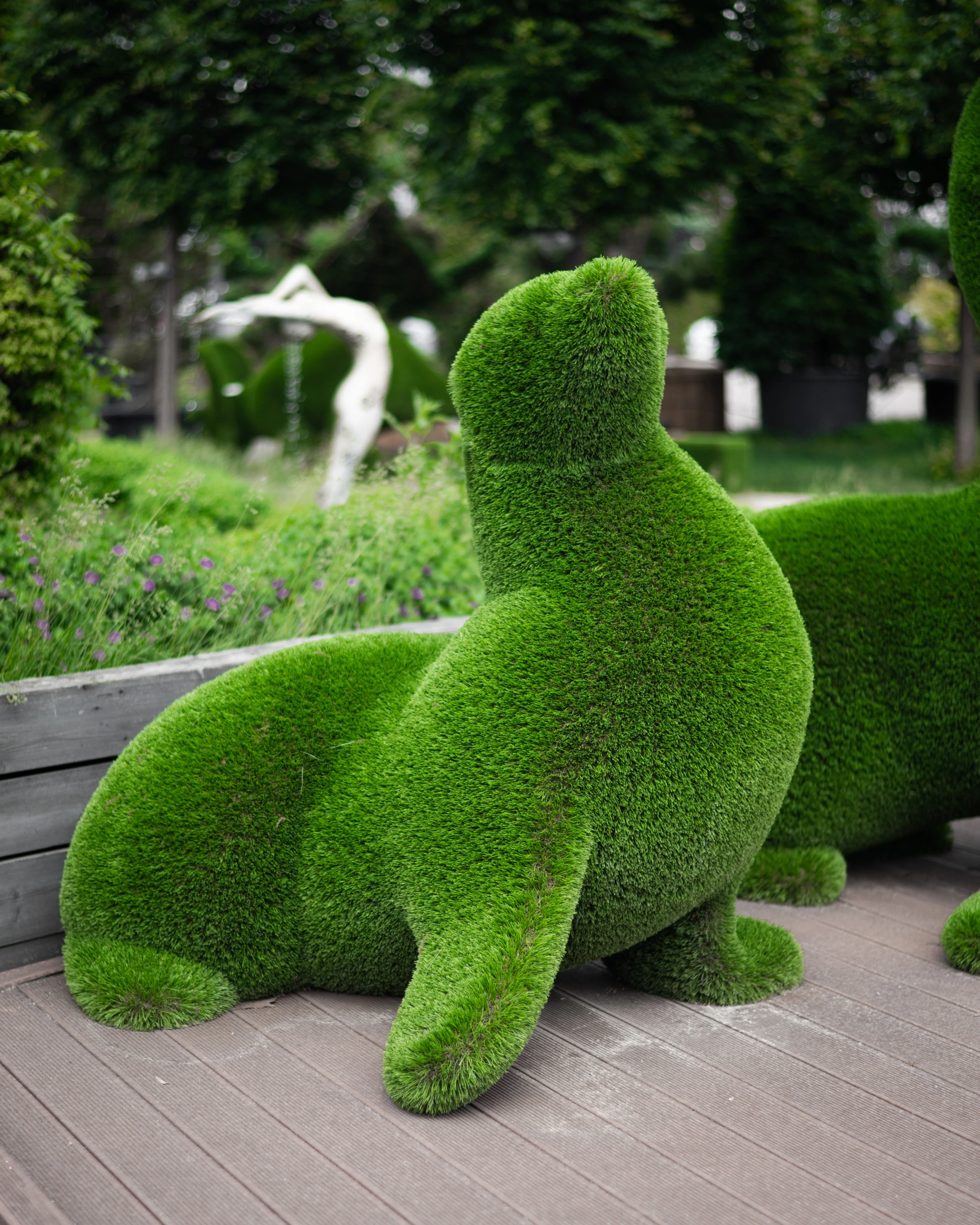 Топиари "Морской лев мал." мал. хвост,