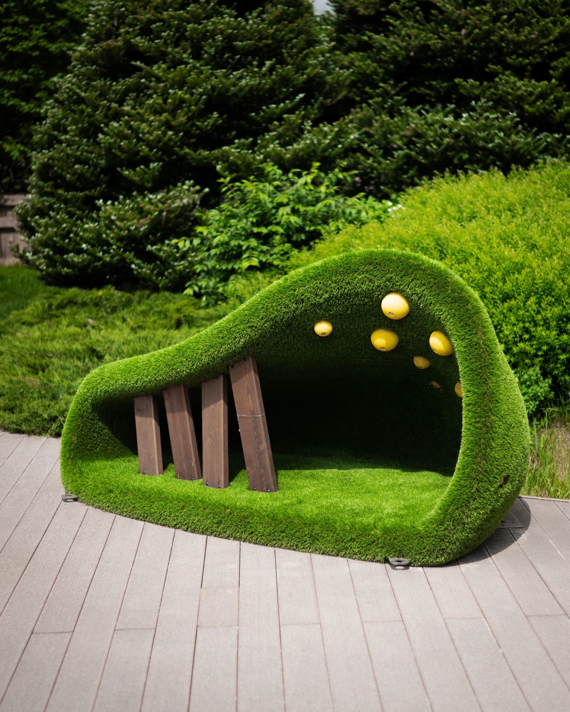 Топиари "Ракушка малая",