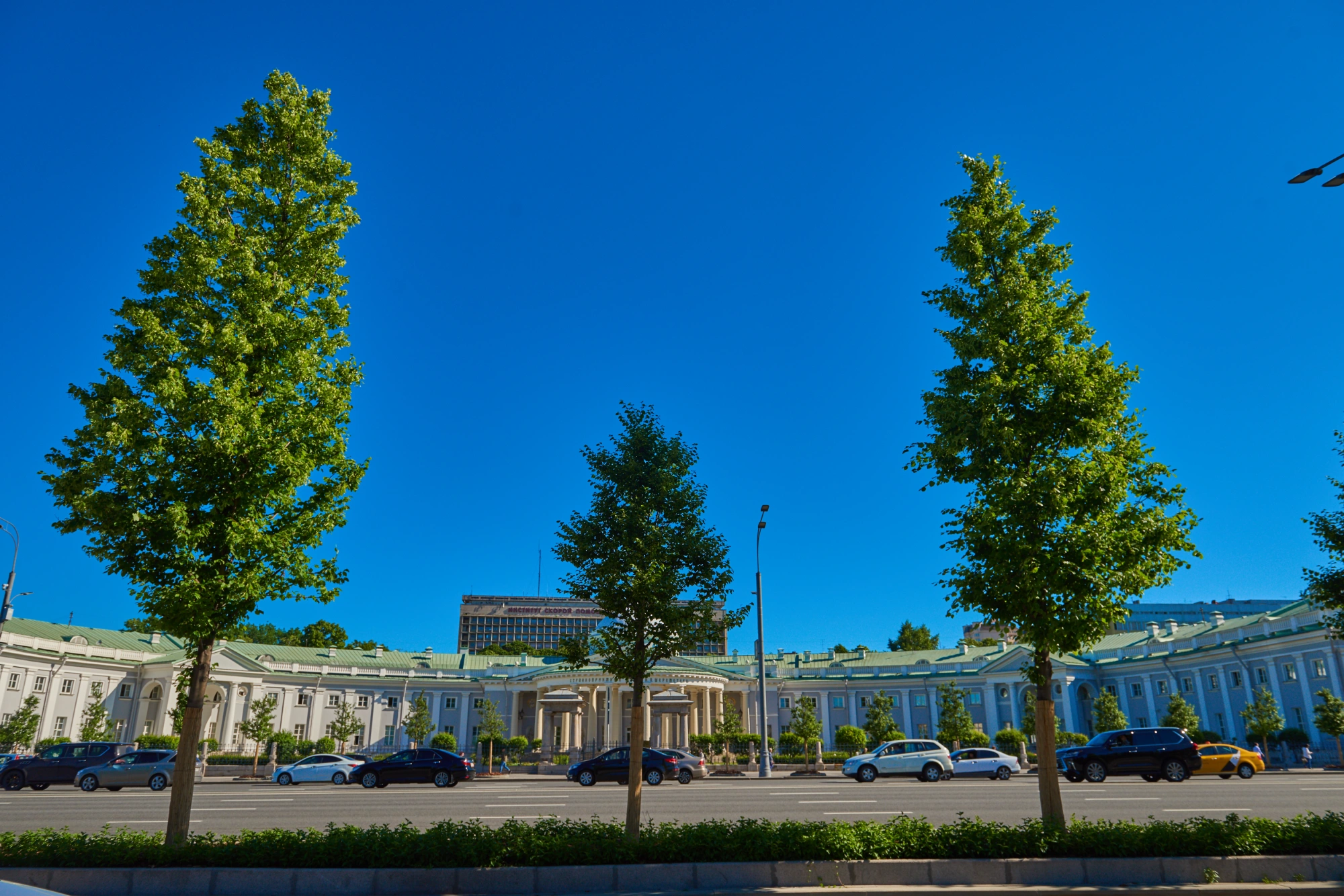 Моя улица