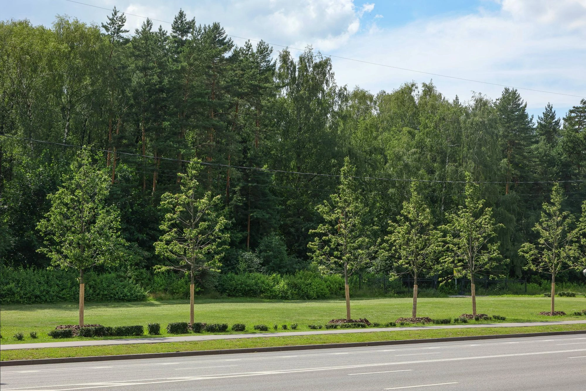 Благоустройство Москвы 2023