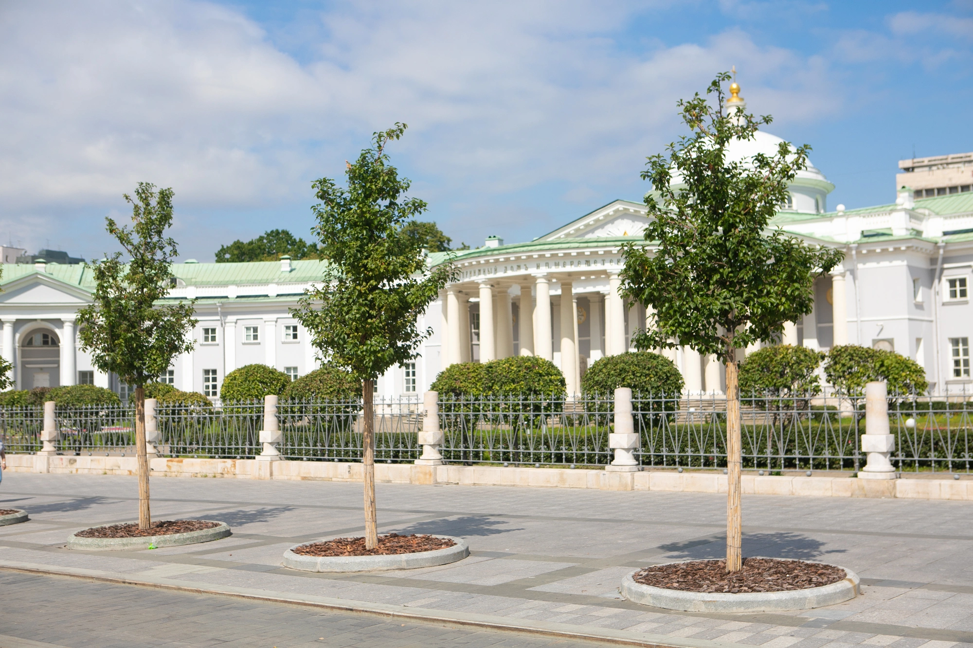 Моя улица
