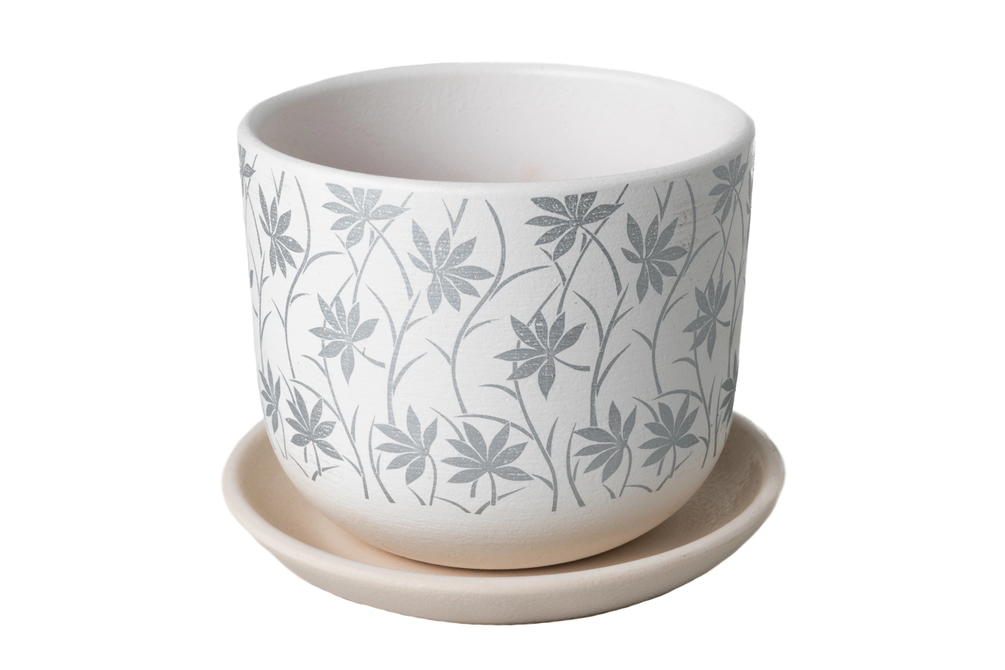 Глория белый бук №1,