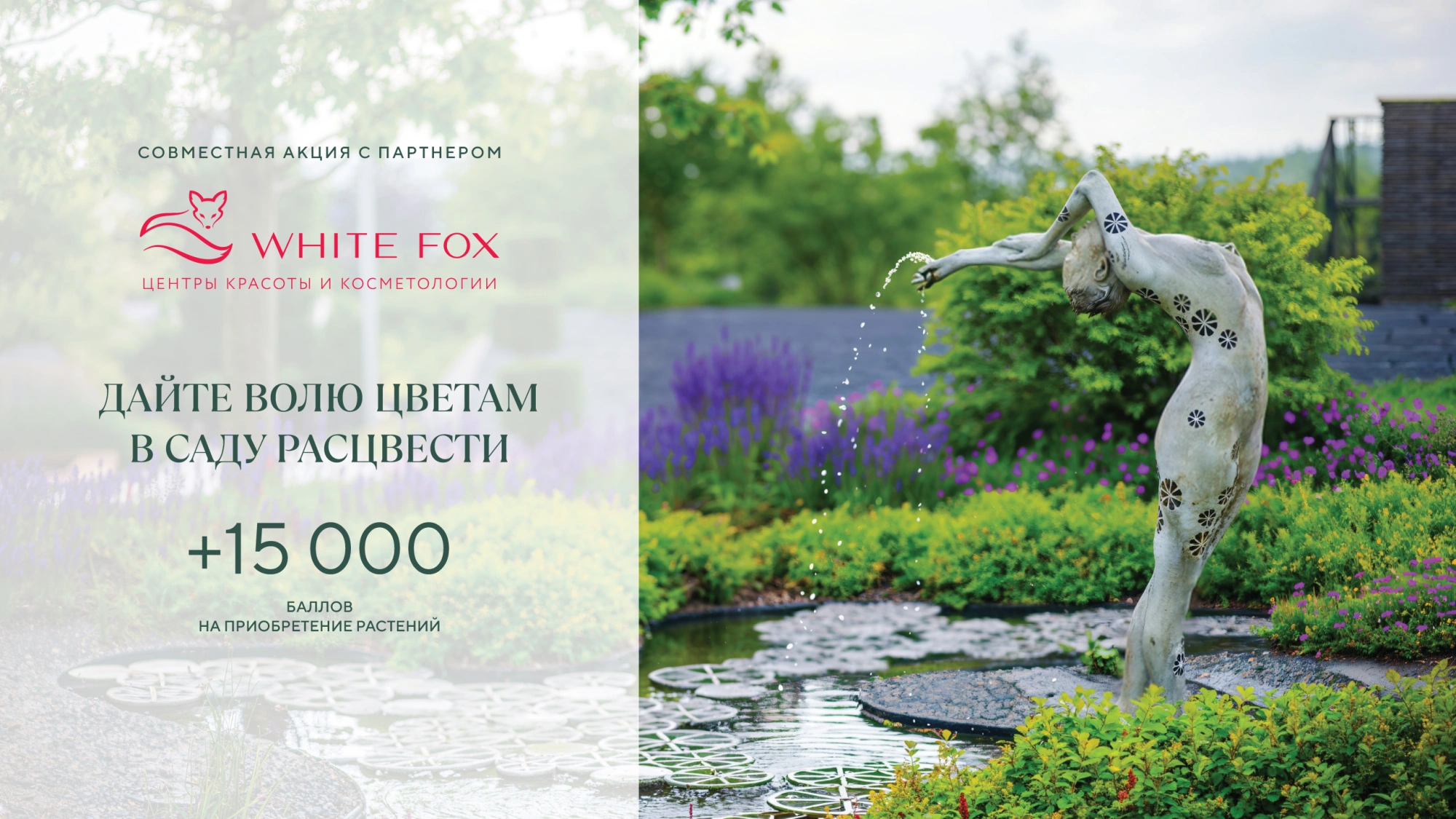 White Fox и Imperial Garden дарят подарок! 