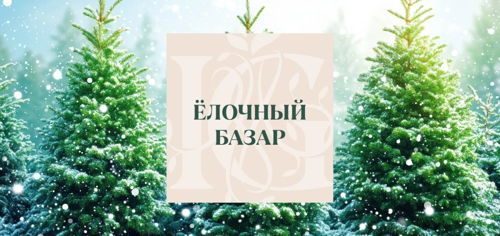 Ёлочный базар открыт!