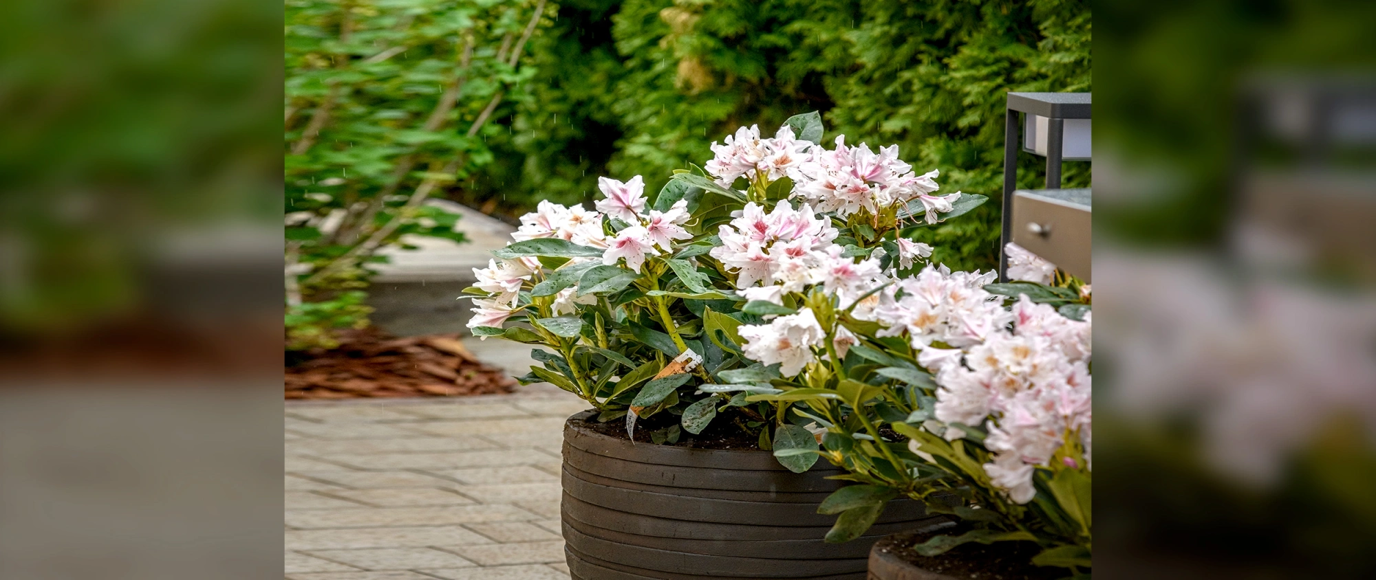 Объект в КП Парк Авеню