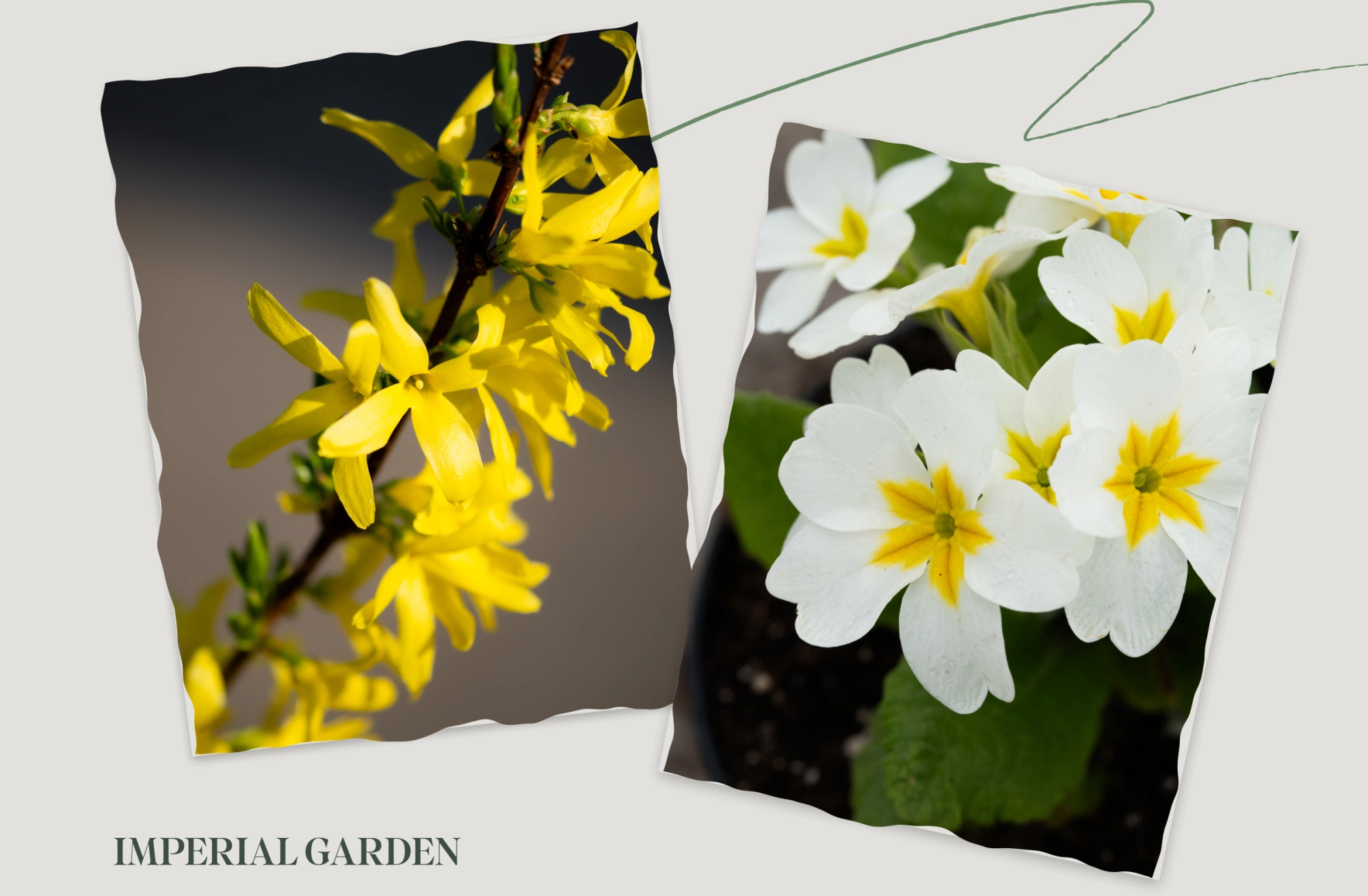 Новое поступление семян, удобрений и товаров для рассады