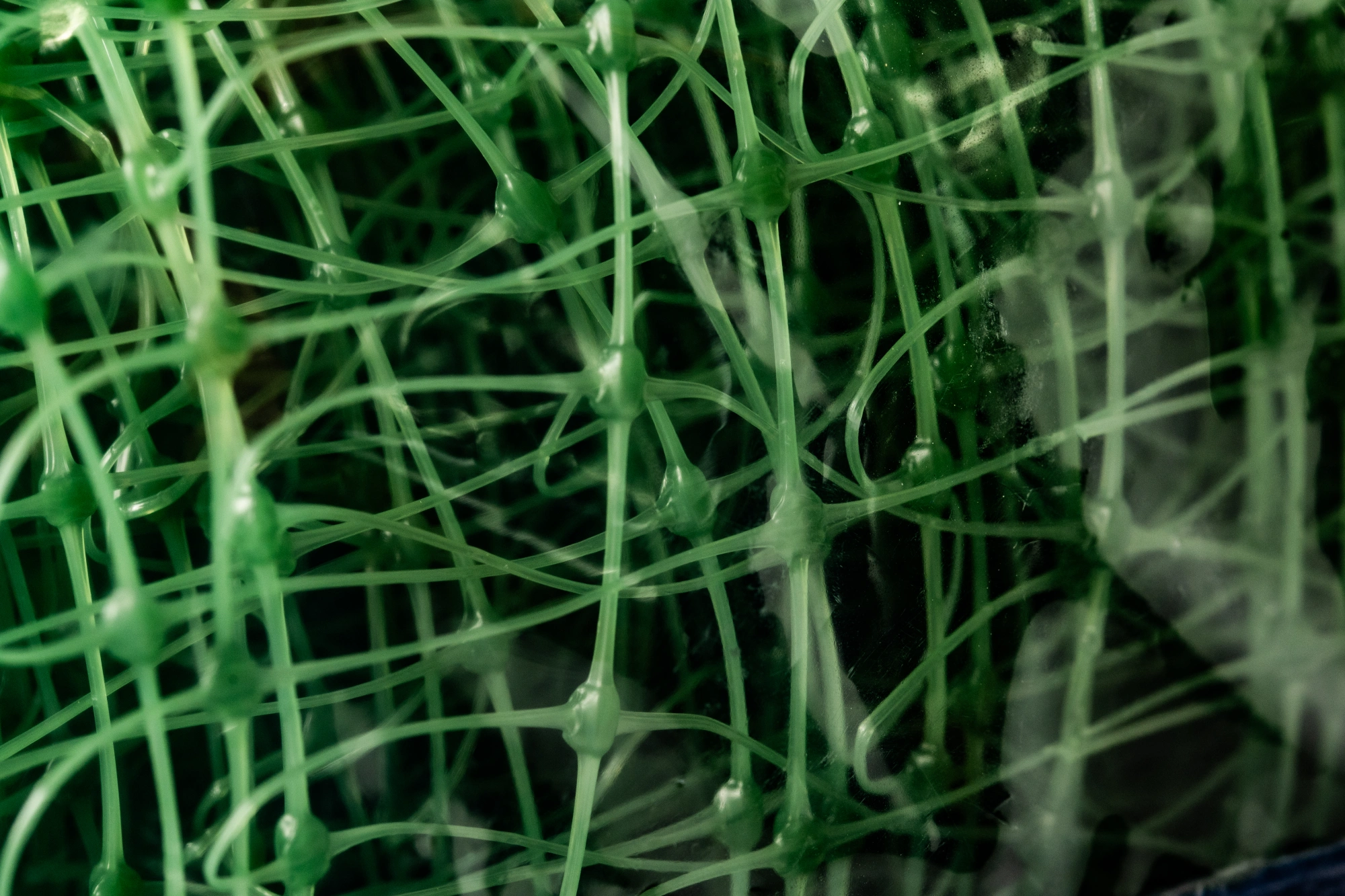 Сетка для клематисов У-22/1/6, 1*6м