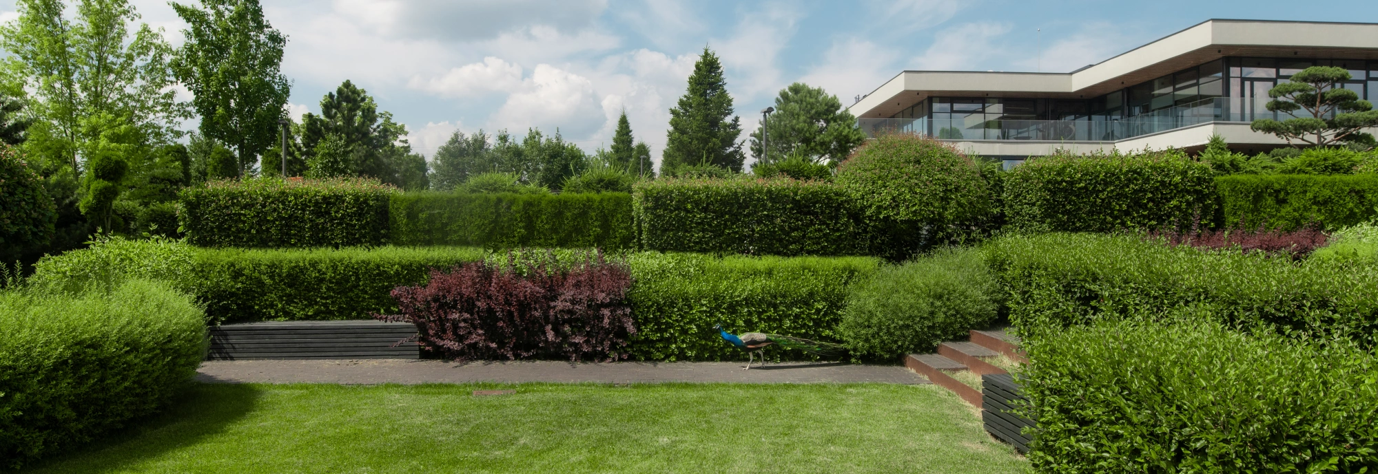 Garden Hall