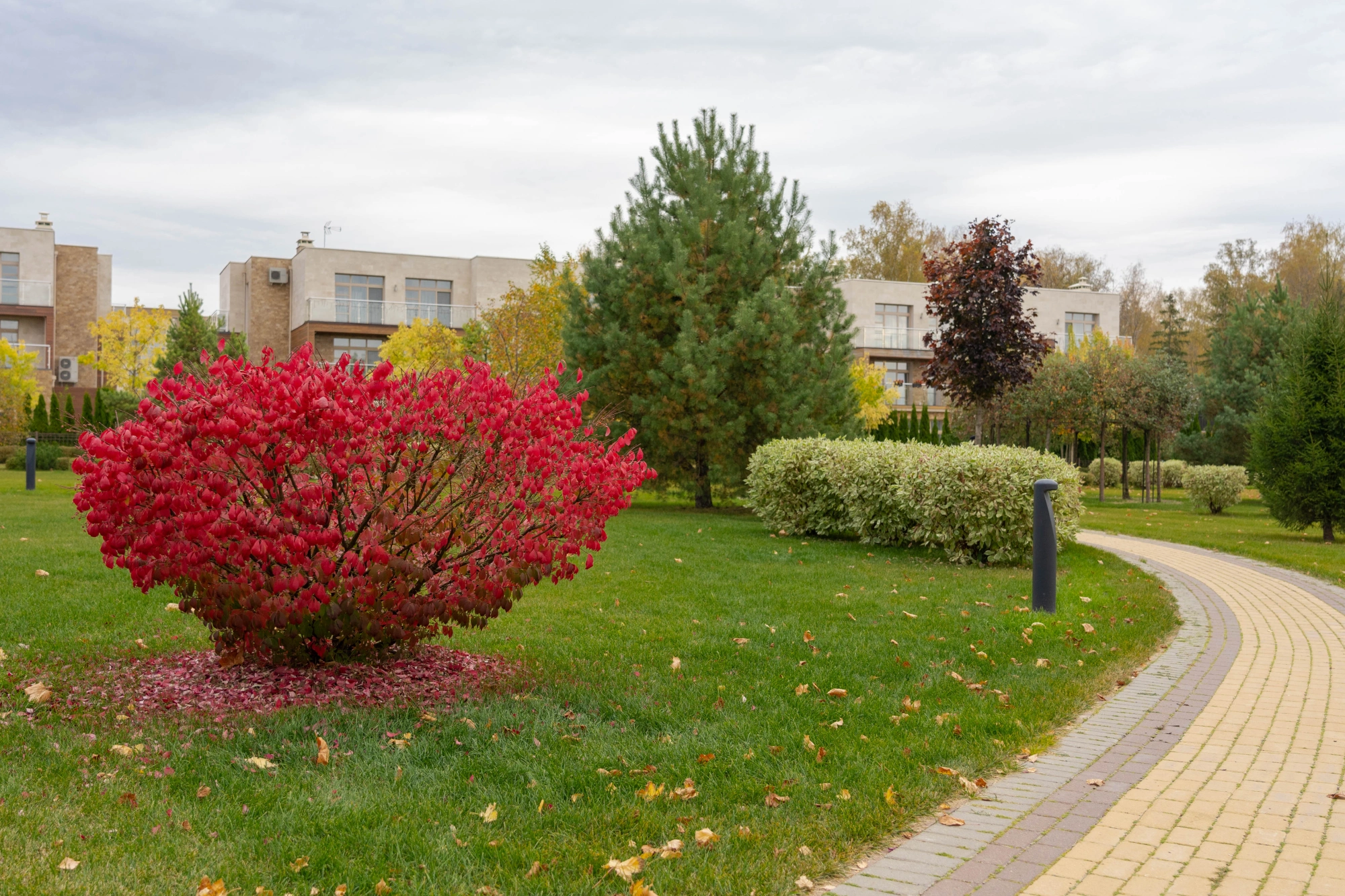 КП Парк Авеню