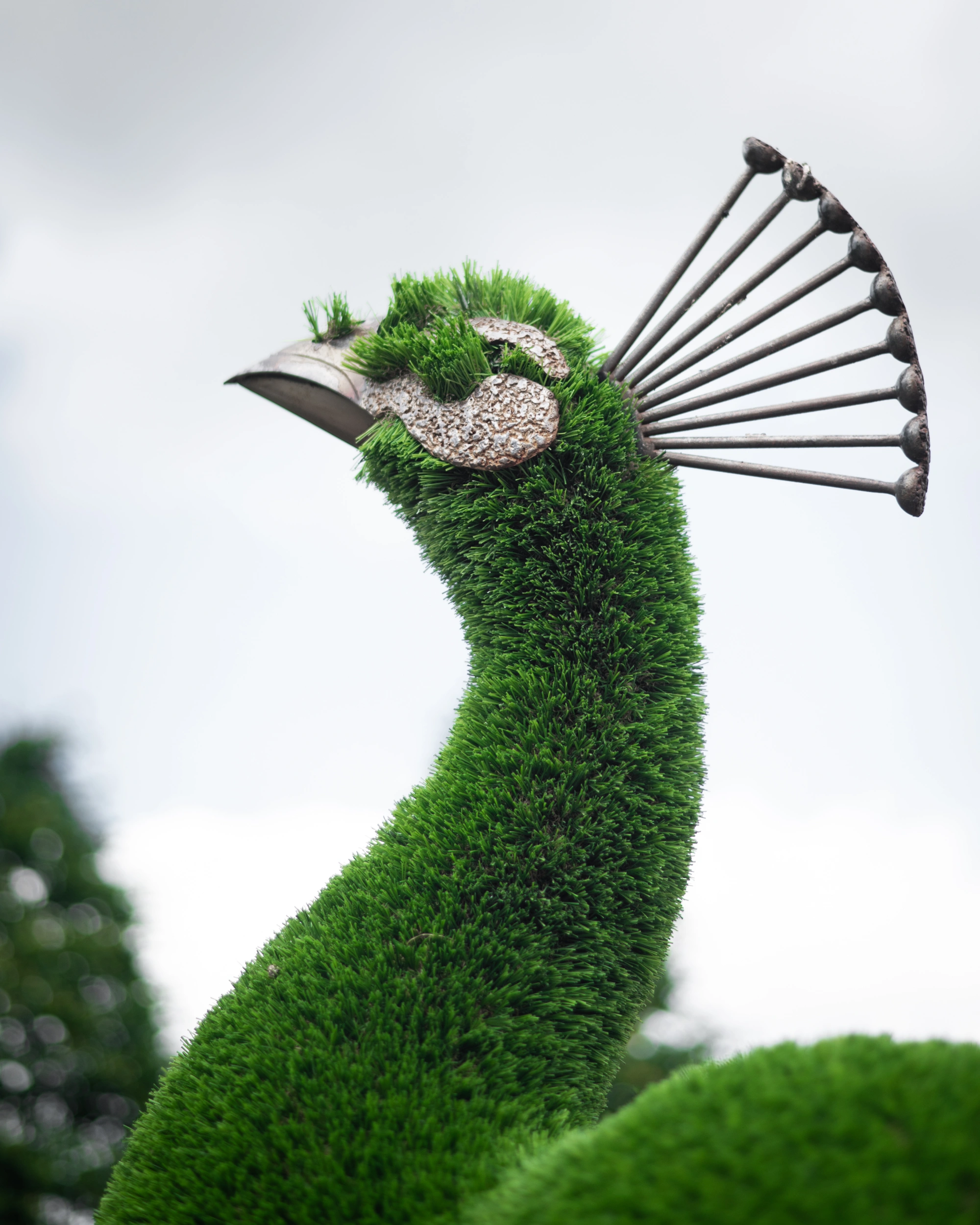 Топиари "Павлин на вазоне",